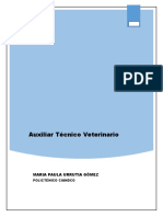 Técnico Auxiliar Veterinario