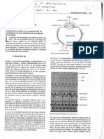 Folio Nº2 - Fisiologia de La Vision