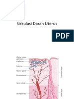 Sirkulasi Darah Uterus