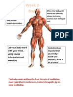 Jack Wright Capstone Body Handout Unit 5