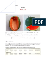 Mutasi Gen Menyebabkan Perubahan Hemoglobin