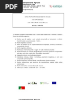 Ficha_rochas_minerais