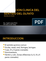 EVALUACION CLINICA DEL SENTIDO DEL OLFATO