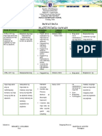 Action Plan Papaac Es Renabethguillermo