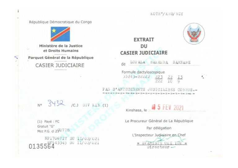 Casier Judiciaire | PDF