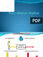 Tissu - Adipeux - Leptine - PDF Filename - UTF-8''Tissu Adipeux Leptine