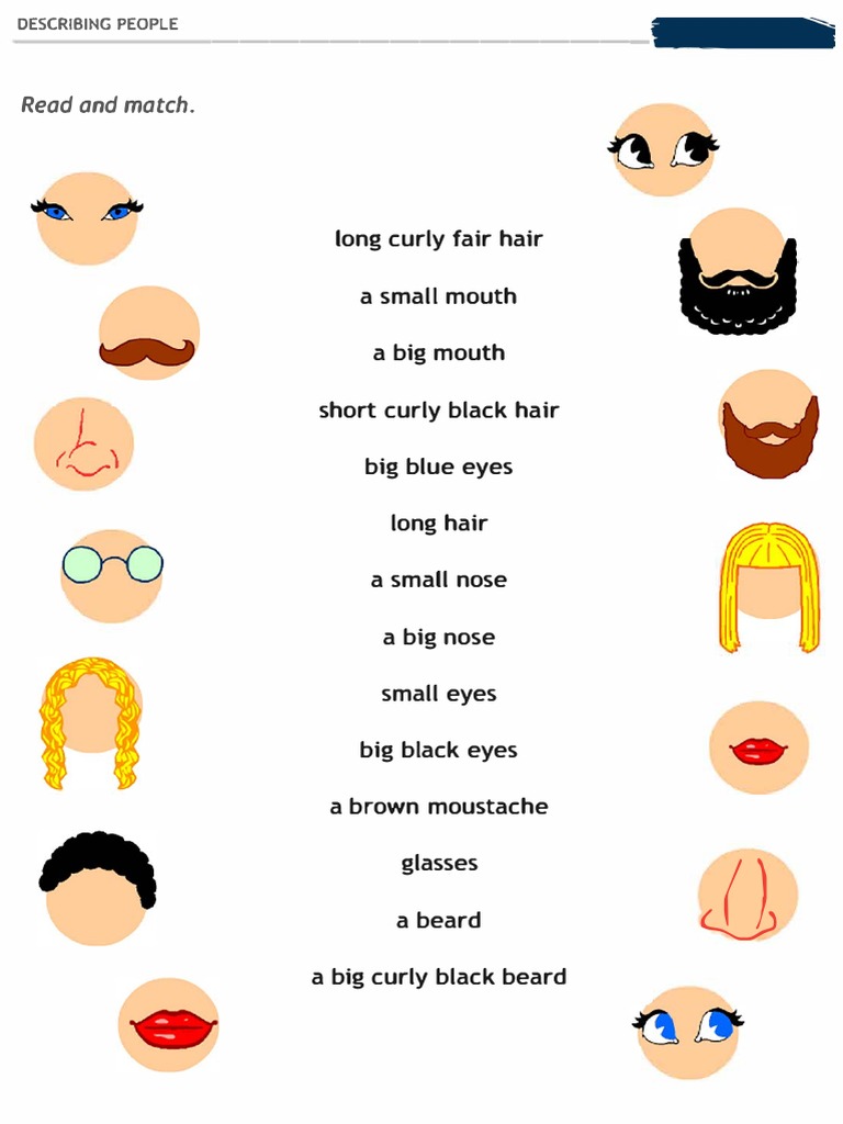 Describing Physical Features | PDF | Career & Growth | Home & Garden