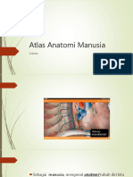 Atlas Anatomi Manusia