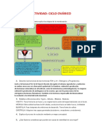 Actividad Ciclo Ovárico