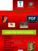 Clasificación de los seres vivos 2307