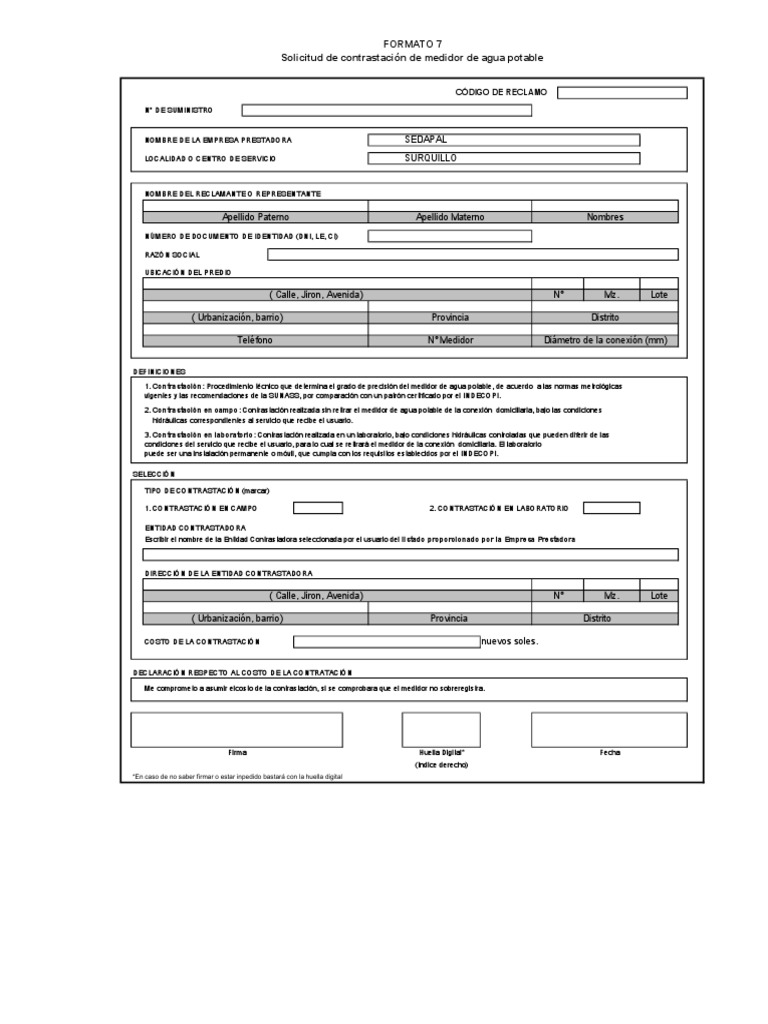 Formato 7 | PDF