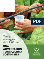 Trabajo Estratégico de La FAO Para: UNA Alimentación Sostenibles