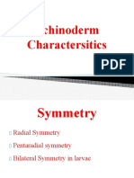 Echinoderm Charactersitics