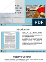 Diapositivas-Asimilación de Metales Pesados Por Microorganismos y Efectos en El Tbar.