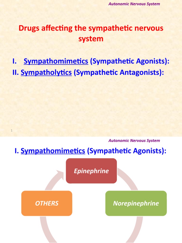 Sympathetic Nervous System Drugs Overview | PDF | Vasodilation ...