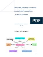 Evolucion 1