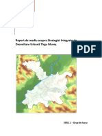 Raport Mediu SIDU TG Mures Vers 1 GL