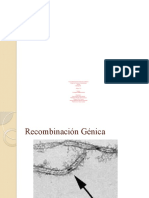 Recombinacion Genetica