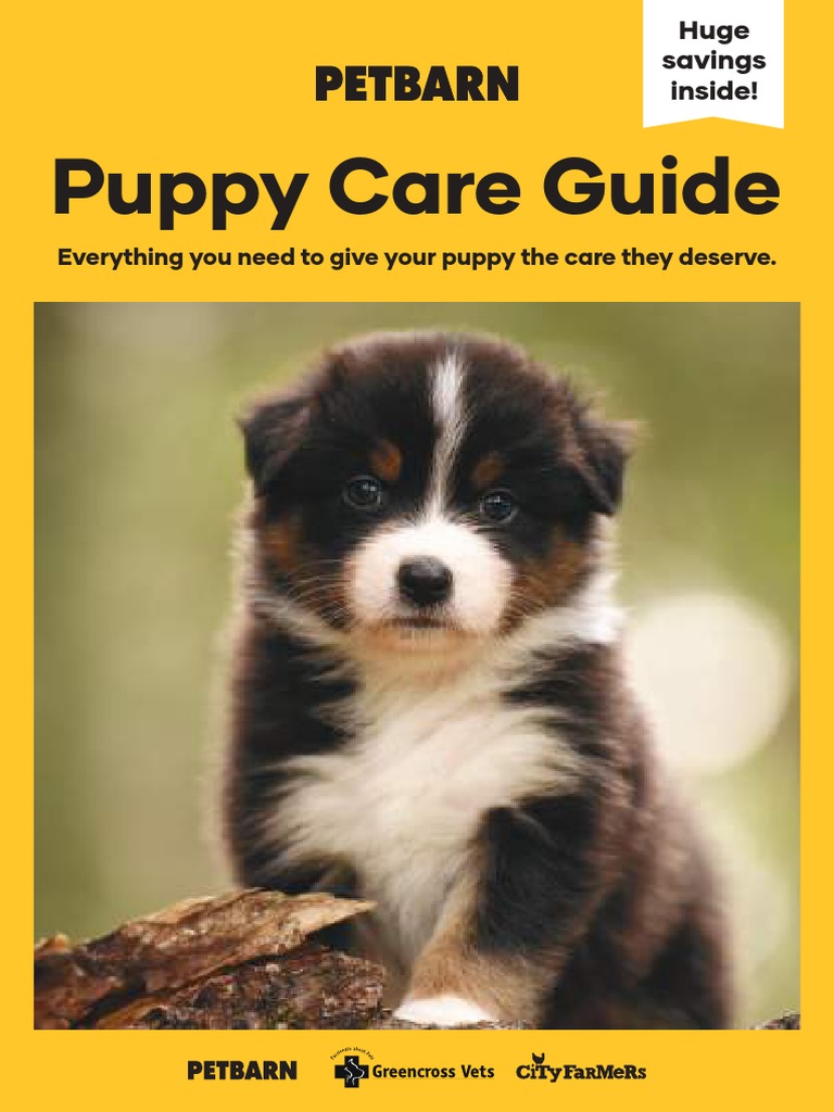 Puppy Care Guide PDF Border Collie Foods