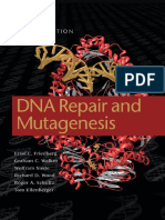 DNA Repair and Mutagenesis by Errol C Friedberg Et Al