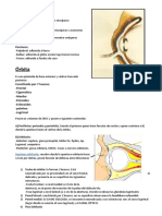 Anatomia 2