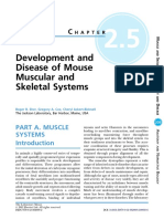 Muscle and Skeleton Development and Disease in Mice