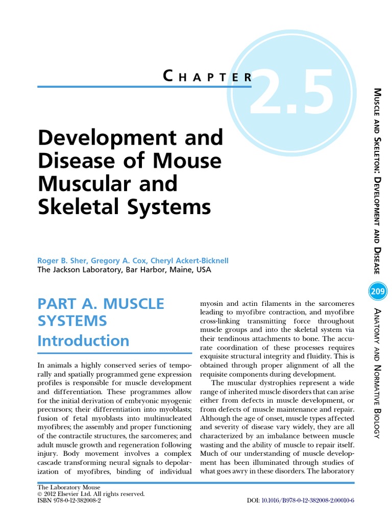 Chapter 2 5 - Development and Disease of Mouse Muscular - 2012 - The ...