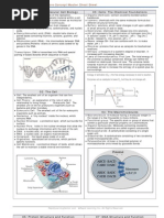 Molecular Cell Biology Master