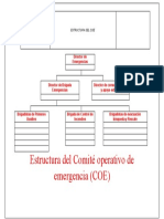 Estructura Del Coe