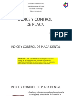 Indice y Control de Placa