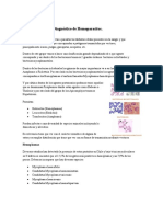 Clase 4.2 Diagnóstico de Hemoparásitos 2020