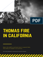 Thomas Fire