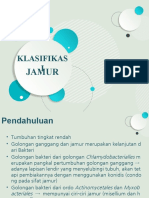 Klasifikasi Jamur