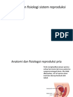 Anatomi Dan Fisiologi Sistem Reproduksi Maria