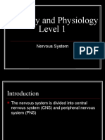 Anatomy and Physiology - Nervous System