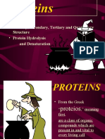 Functions - Primary, Secondary, Tertiary and Quaternary - Protein Hydrolysis