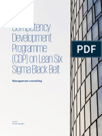 Competency Development Programme (CDP) On Lean Six Sigma Black Belt