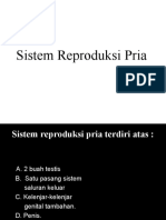 Sistem Reproduksi Pria Untuk Mahasiswa