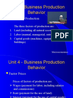 Unit 4 - Business Production Behavior