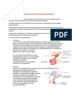 Régulation Physiologique Du Complexe Hypothalamo - Hypophysaire