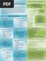 Advanced Excel