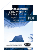 Commercial Litigation