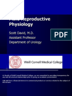 DAVID Male Reproductive Physiology 2019-Clinical