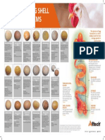 Egg Shell Quality Poster - V1-1