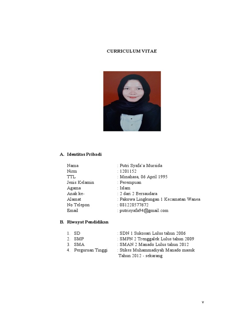 CURRICULUM VITAE Skripsi | PDF