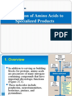 Amino Acid Conversion and Specialized Nitrogen Products