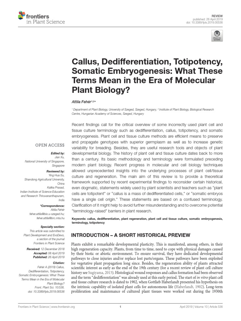 Cellular Totipotency Pdf | Cell totipotency: molecular features ...