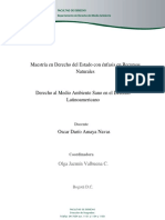 Derecho Ambiente Sano - Oscar Amaya