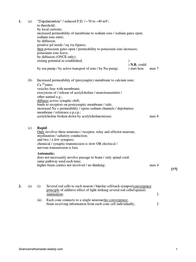1.2 Nervous System Ans | PDF | Chemical Synapse | Action Potential