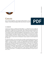 Amazonia Antropogenica Carajas PDF